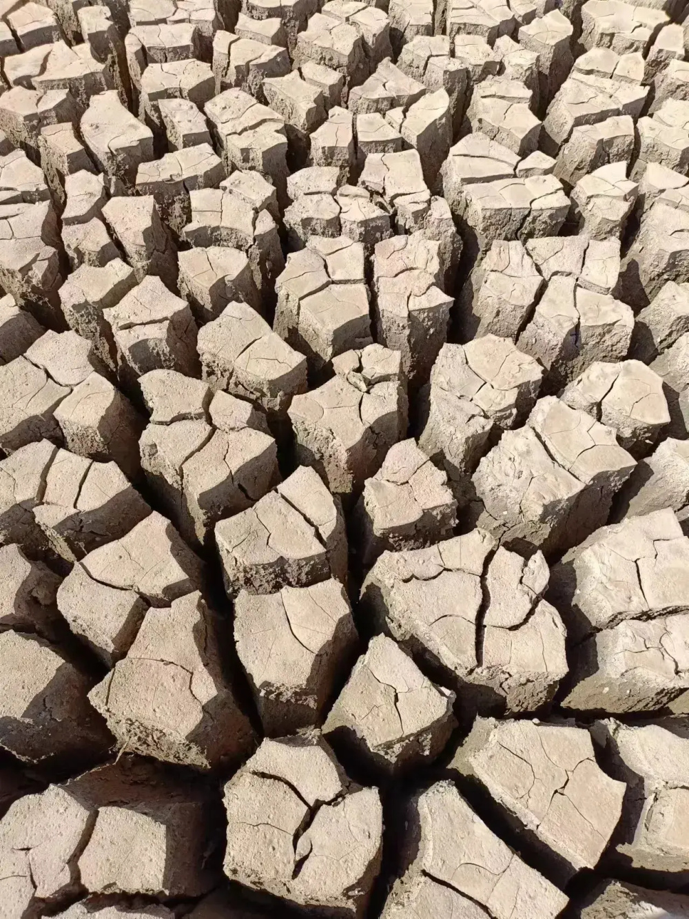 枯竭淤泥皲裂无语凝噎 云南省多地春耕逢严重干旱调水引水迫在眉睫