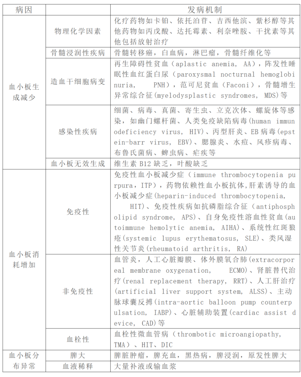 巨型血小板图片