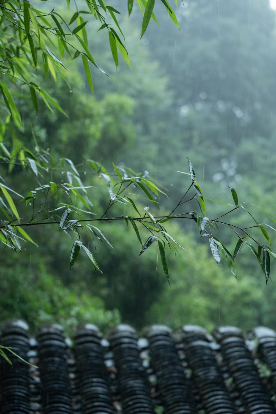 江南烟雨图雨景图片