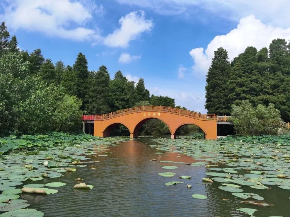 【924关注】清水潭旅游度假区焕新"出圈"