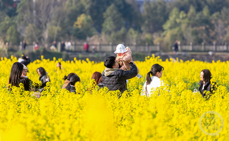 踏青赏花享春光