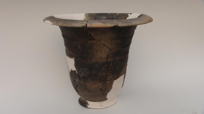 三星堆出土大量象牙制品 成都平原最早的象牙器在哪里?