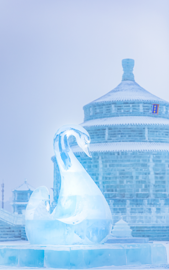 哈尔滨冰雪大世界公开征集主题创意,一等奖奖金300万!