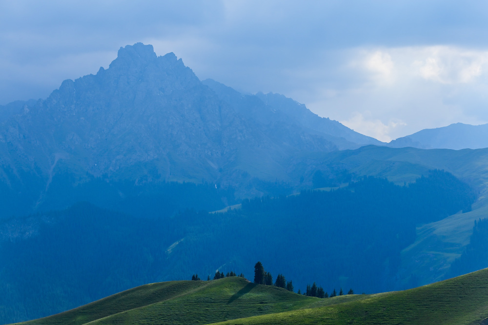 美丽中国丨新疆鹿角湾:藏在天山深处的童话牧场