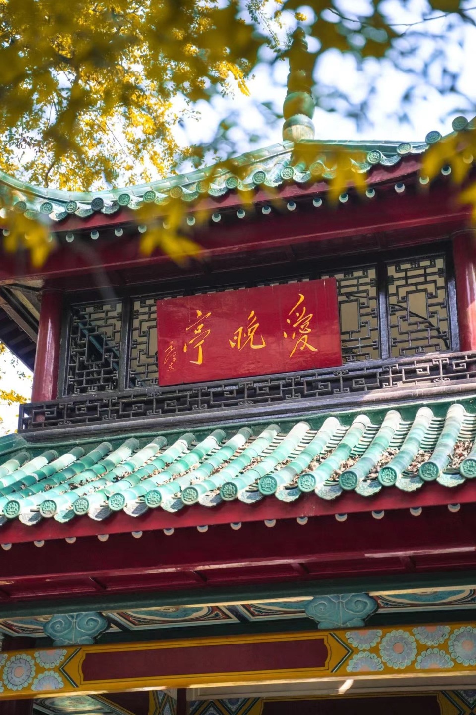 长沙枫景即将上线第十七届岳麓山红枫节将于11月18日举办