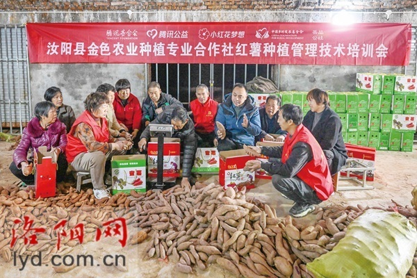 [南方生姜网-图片加载]