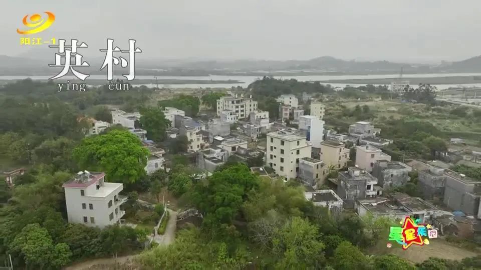 星星乐园丨春暖花开 "植"得期待_腾讯新闻