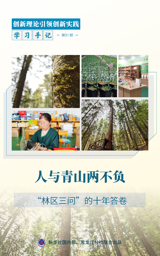 黑龙江伊春，一座在森林中“生长”的城市。十年前，2016年5月23日，习近平总书记深入龙江大地考察，从北京直飞素有“祖国林都”“红松故乡”之称的伊春。林区经济转型发展怎么样，林区生态保护怎么样，林场职工生活怎么样，习近平总书记提出的“林区三问”，指引着发展方向和路径。从“伐木取材”到“护绿生金”，伊春这十年经历了怎样的发展跨越？初夏时节，记者走进小兴安岭深处，探寻茫茫林海的时代回响。林海生金：“要