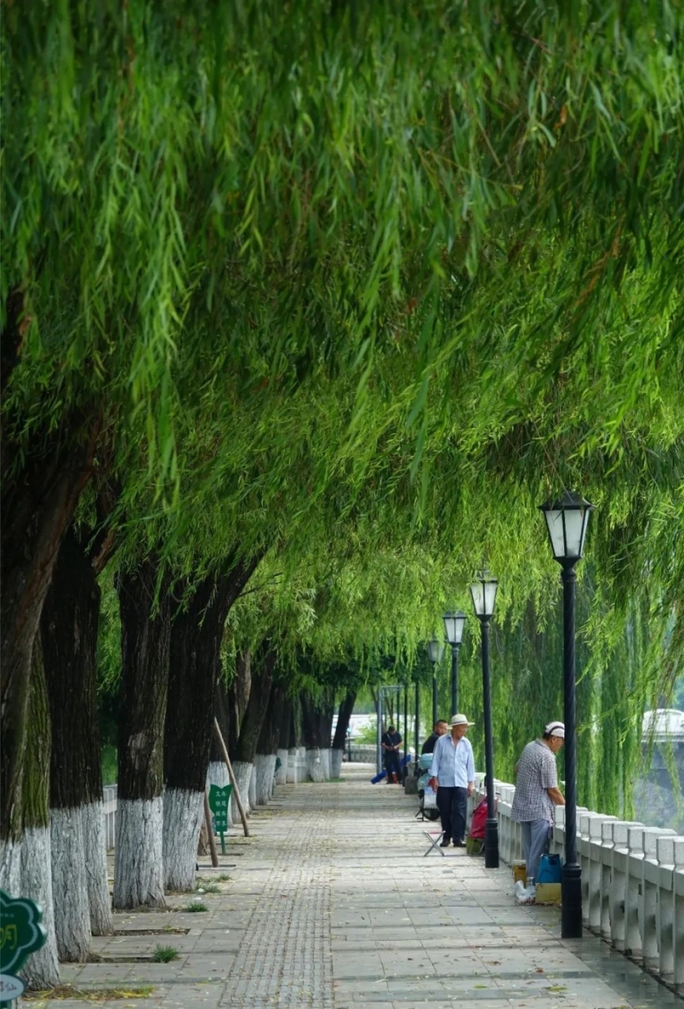 秋游绵阳 峰巅观斓 ‖ 凉爽的风终于吹到了游仙,快来"遛个弯儿"