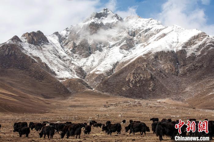 初春青海拉脊山雪后童话宛如仙境