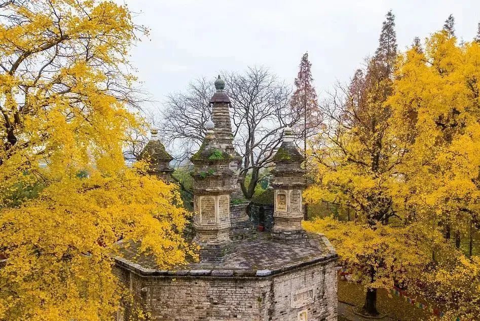 《庆余年2》等多部影视在此取景,金庸笔下的侠义之城到底有何魅力?