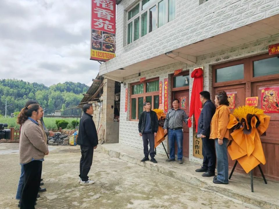 织金县牛场镇:农民专业合作社 助力乡村振兴_腾讯新闻