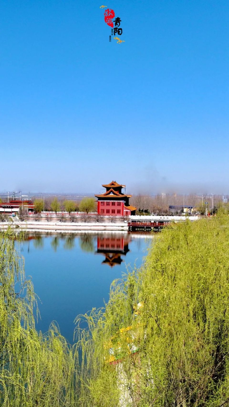 滨州邹平:春分至 上春山 赏春花