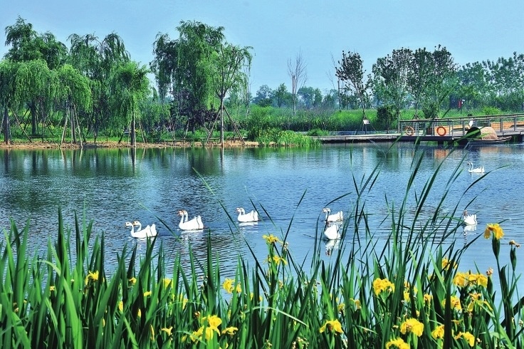 鹤壁市城乡一体化示范区朝歌文化园淇河畔美景.