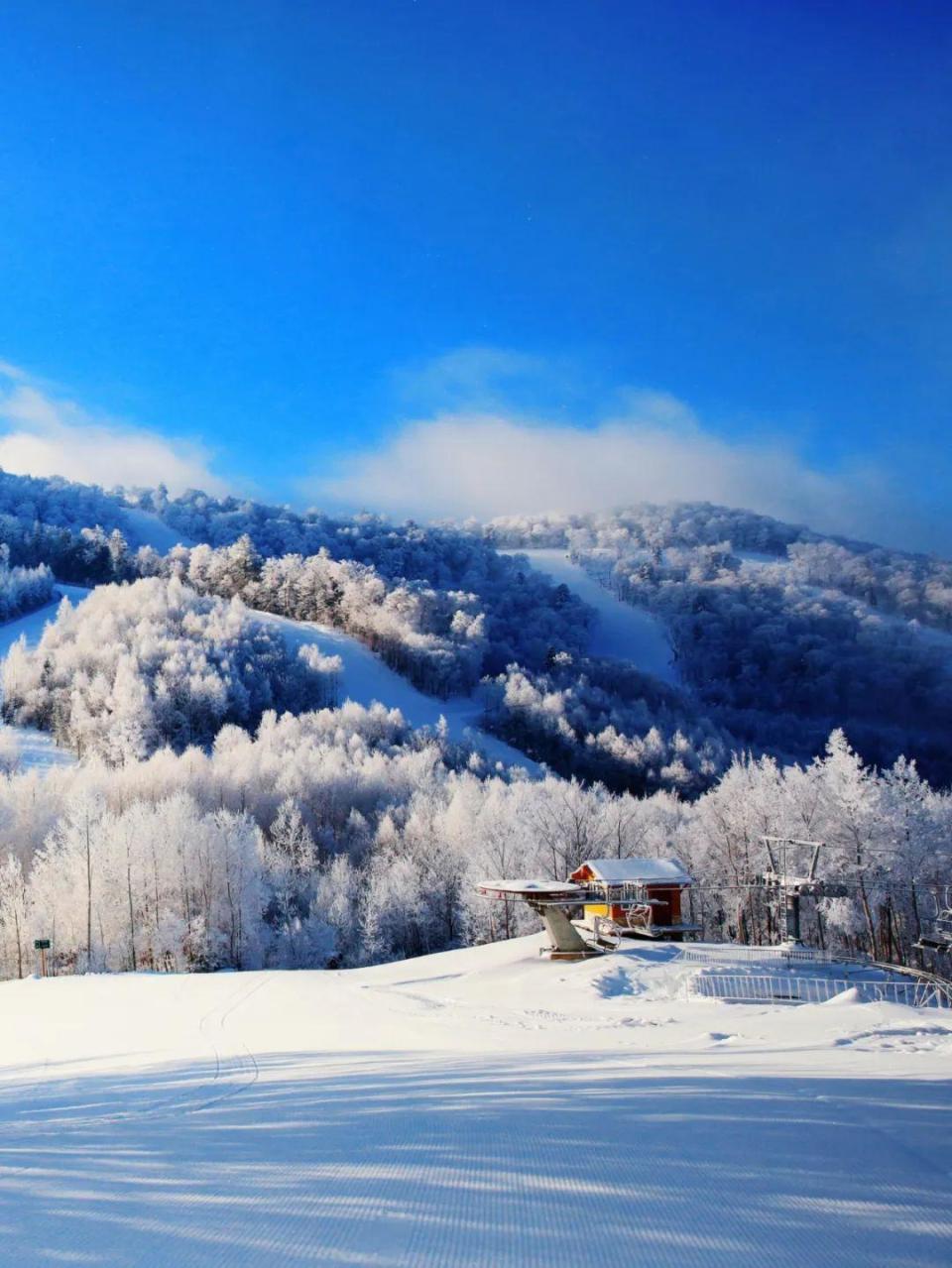 出吉林冬天多彩的颜色;7615林间的空气,丰收的美酒,旷野的炊烟,7