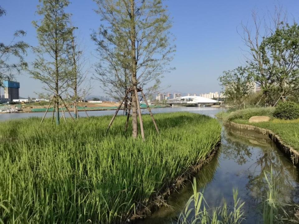 张村河生态公园试开放地图来啦!游园这17条要记牢!