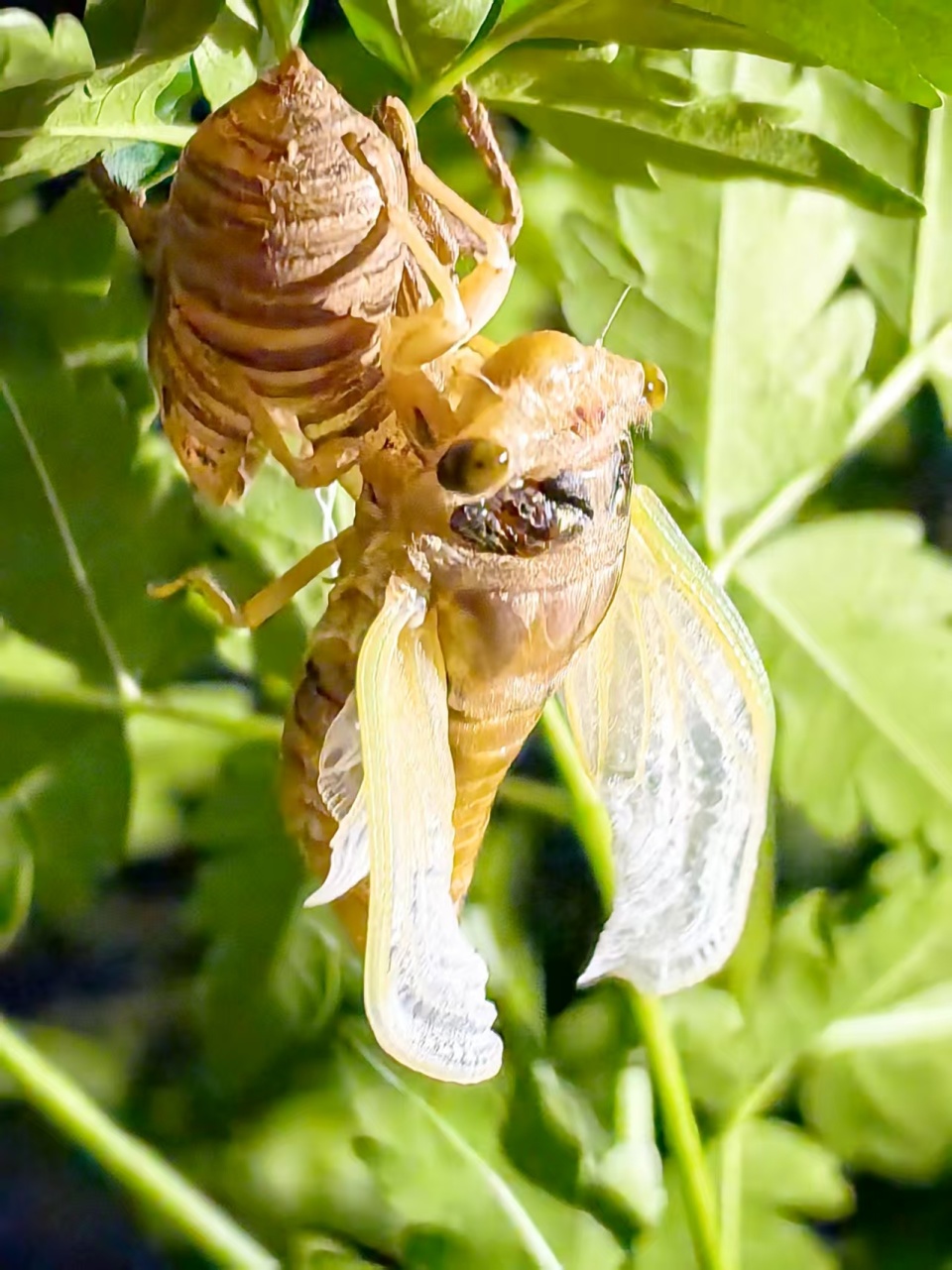 "山东邂逅美"摄影大赛