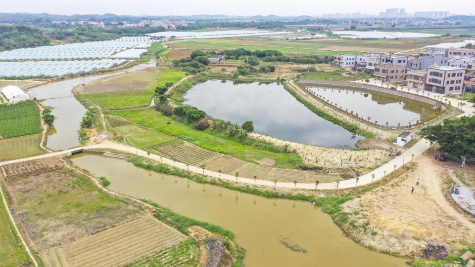 揭阳惠来隆江镇召开清淤现场观摩会