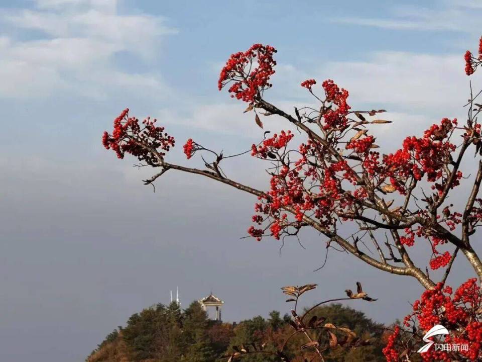 风入泰山染层峦 一山秋色醉人间_腾讯新闻