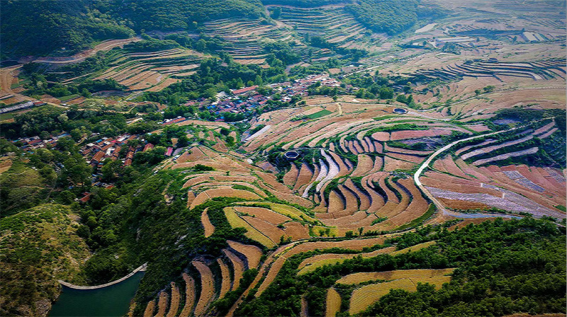 山东莒县:初夏梯田美如画 宛若天然"调色盘"_腾讯新闻