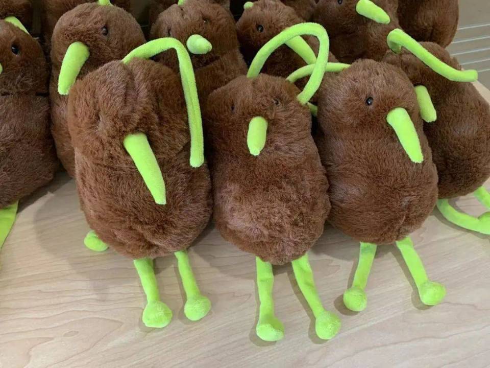 向世界讲好中国故事“小小外交官”走进新西兰驻华大使馆 向世界讲好中国故事“小小外交官”走进新西兰驻华大使馆