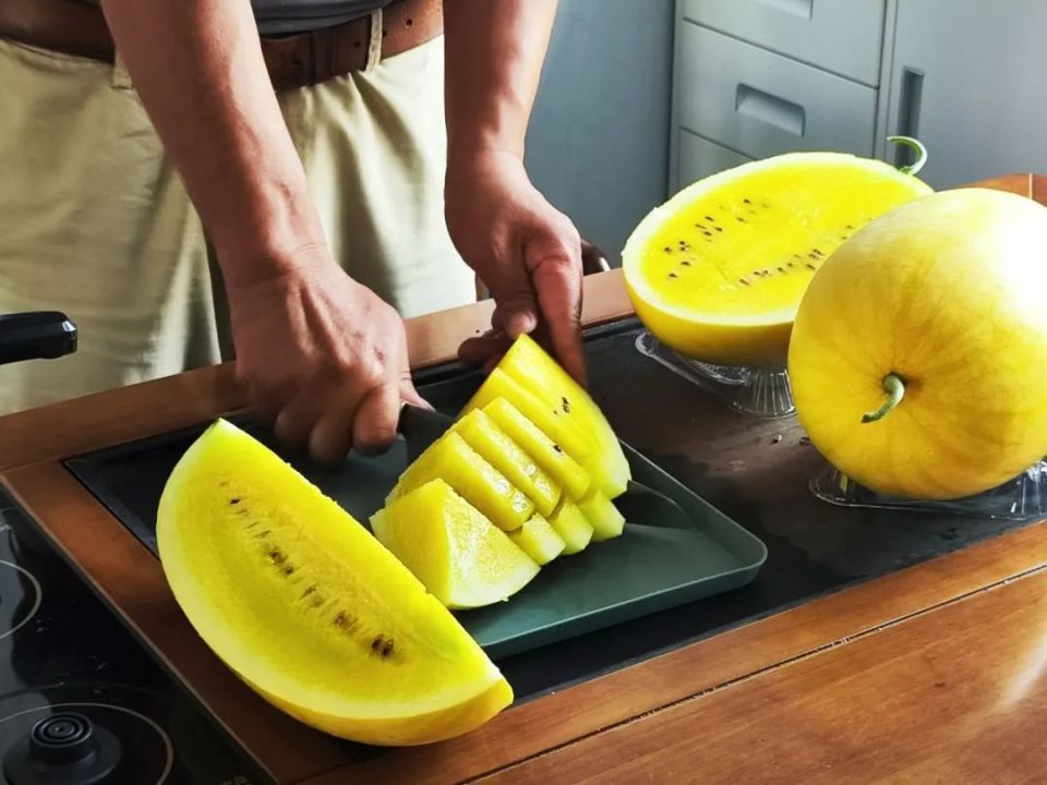 "黄皮 黄肉"的正宗西瓜!闵行育种的这款新品"初露"风采