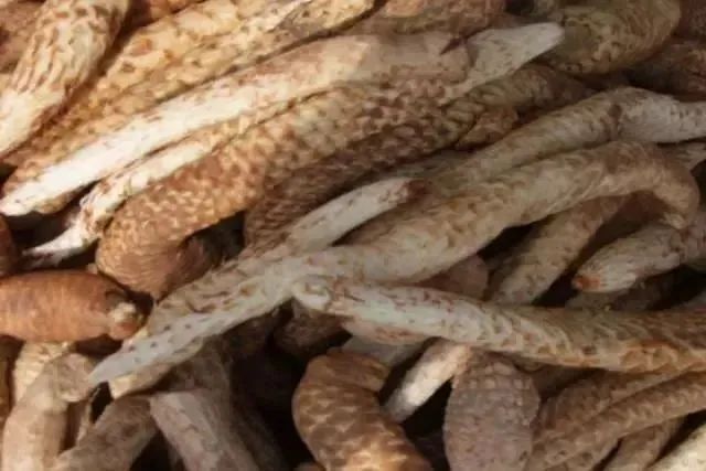 连酸奶都追求"壮阳"?加鹿鞭生蚝的blueglass,49块钱