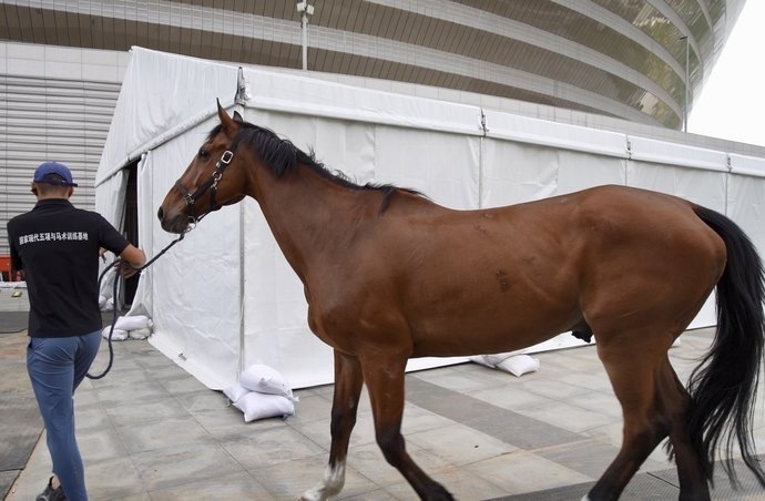 场地搭建接近尾声,首批比赛用马抵郑 "郑州双世锦赛"进入最后冲刺