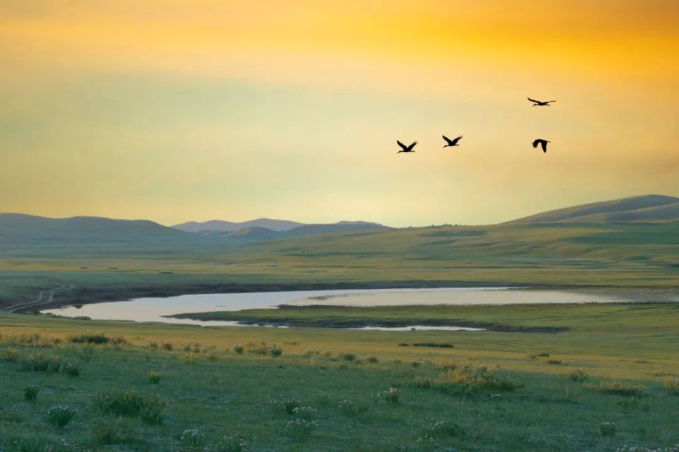 相约草原·遇见那达慕内蒙古自治区第34届草原那达慕在锡林浩特隆重