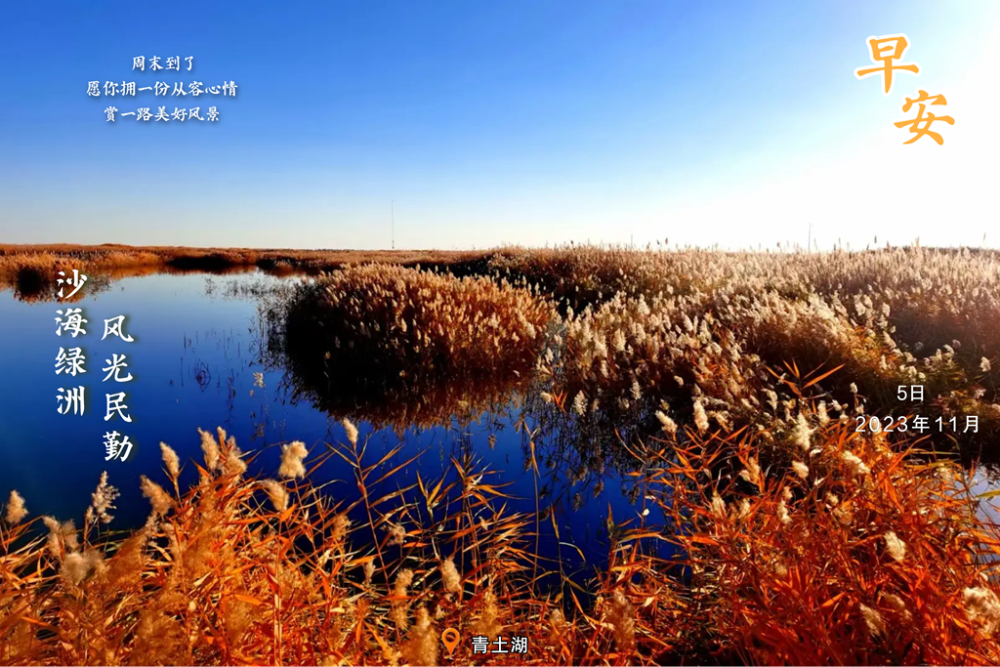 沙海绿洲·风光民勤丨青土湖
