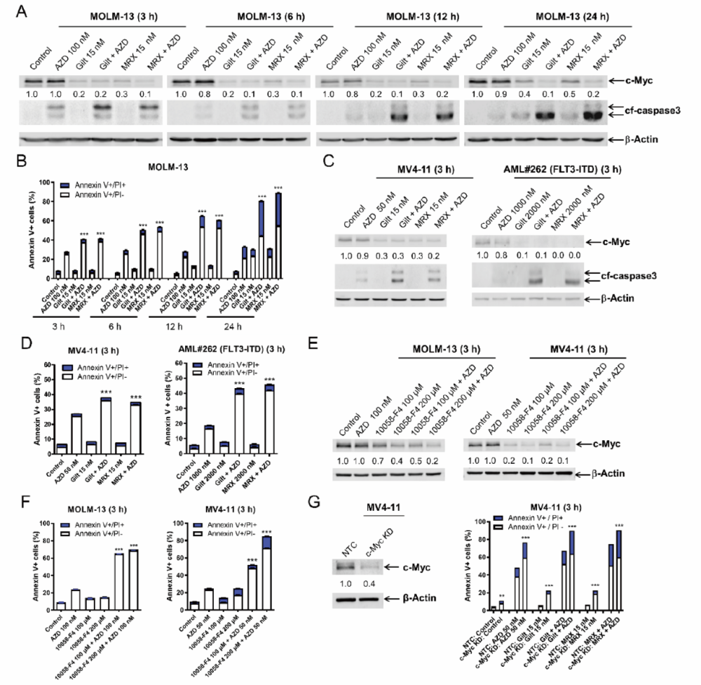 abmole-mcl-1-gilteritinib-mrx-2843-flt3-aml