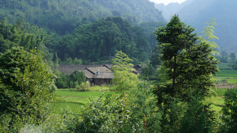 蕨溪镇副镇长 唐章彪"蕨溪镇拥有金盆民居,石盘寺摩崖石刻,阎王蹁大