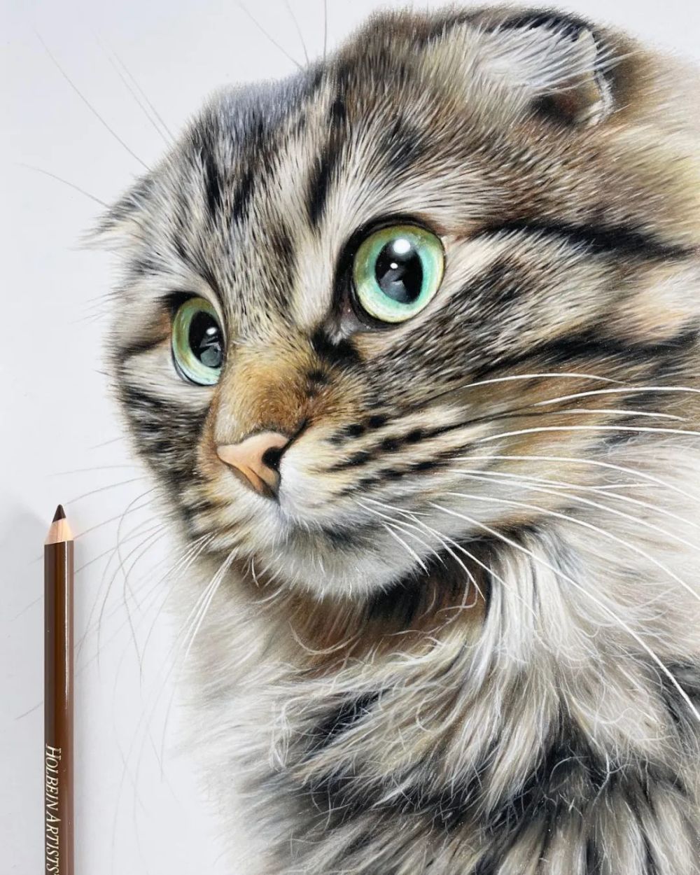 一幅彩铅画耗费50个小时,看到完整作品后,每个人都说值_腾讯新闻