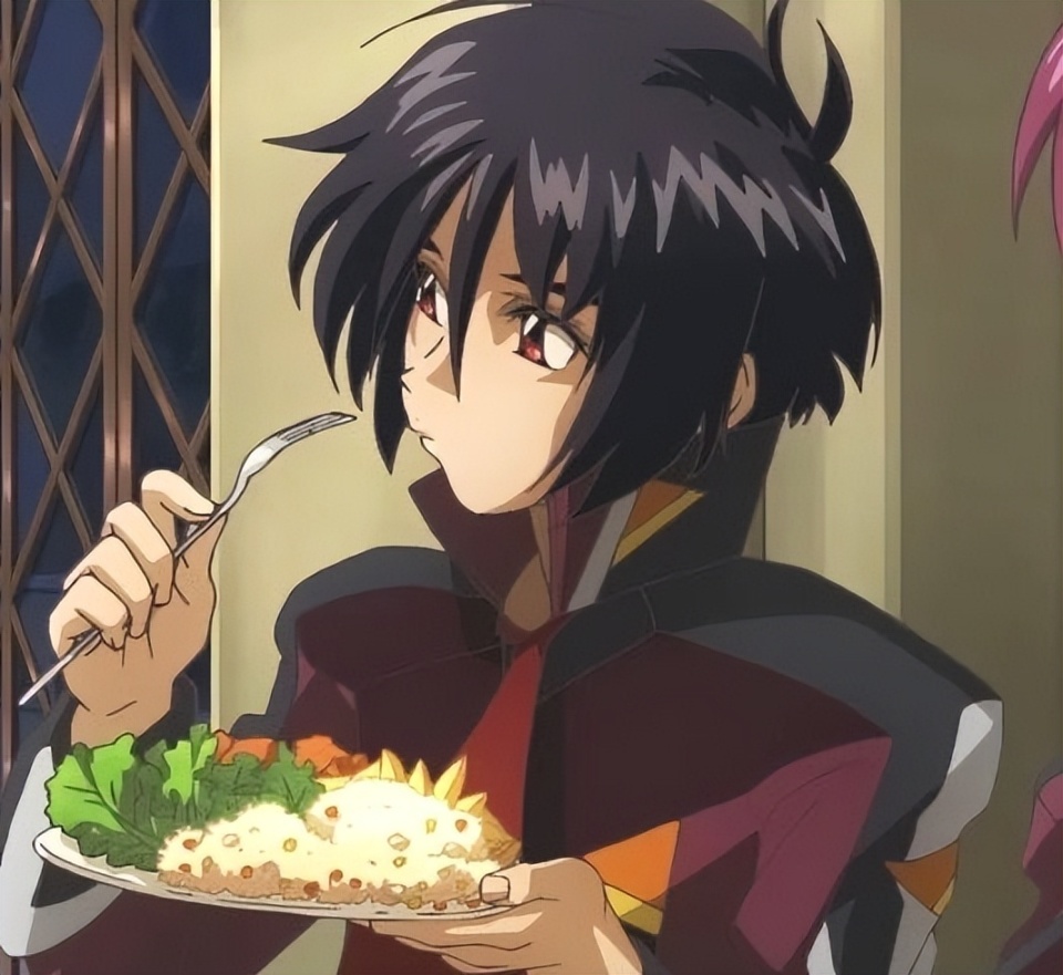 高达seed粉丝还原剧场版真飞鸟的伙食 事实证明小鸟是真的饿了