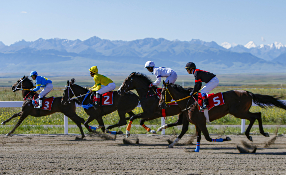 追光|天涯海角邀您来 共享民族团结会