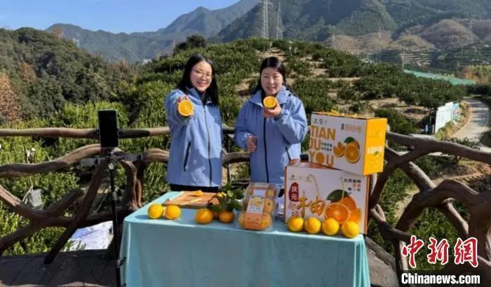 为什么宁静贴片这么贵聚焦浙里：中新社浙江新闻周报_https://www.jmylbn.com_新闻资讯_第29张