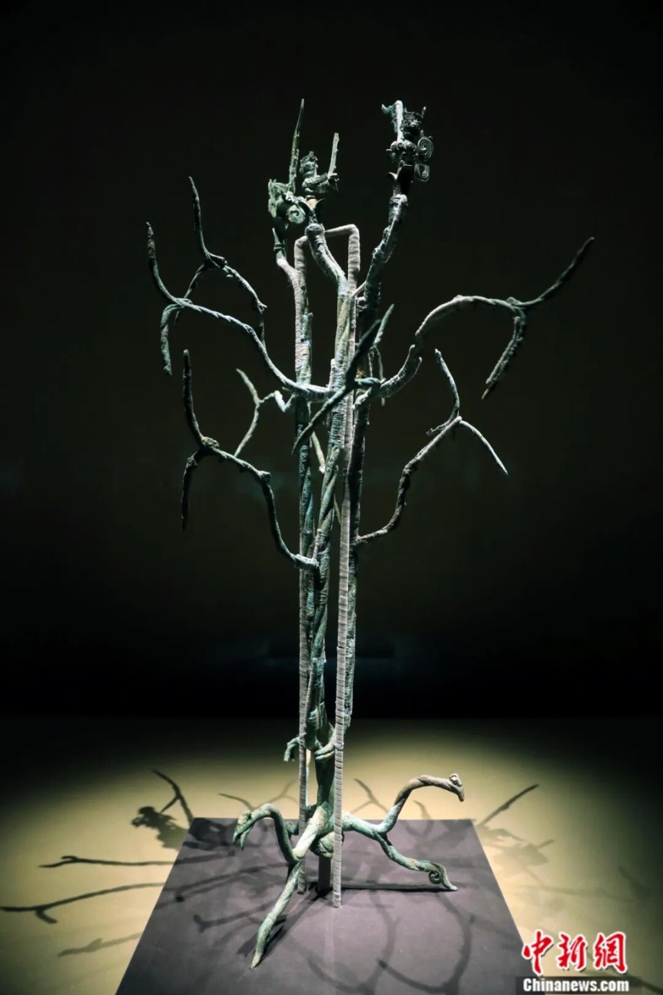 东西问|余健:三星堆的青铜神树为何还在不断"长高"?