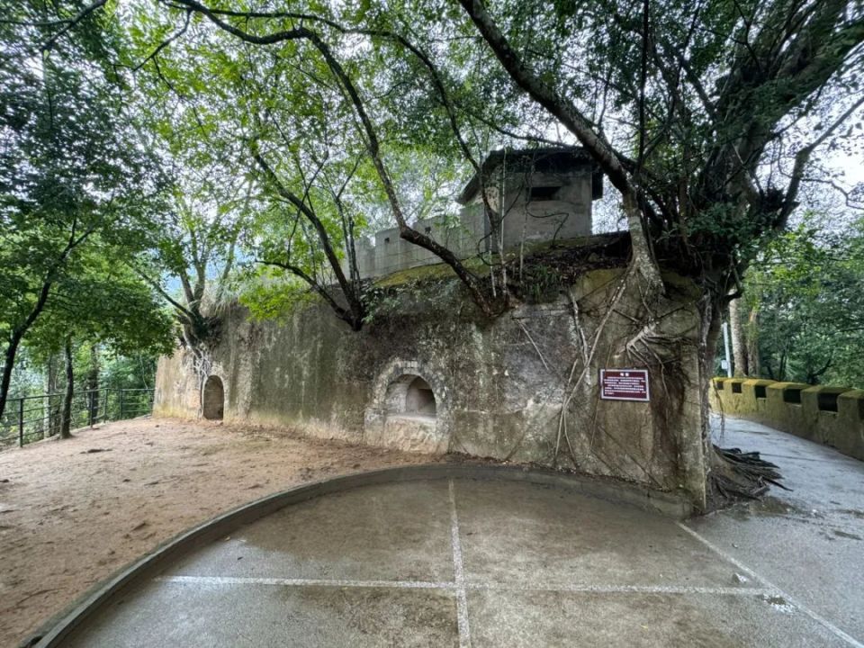 友谊关—镇南关大捷