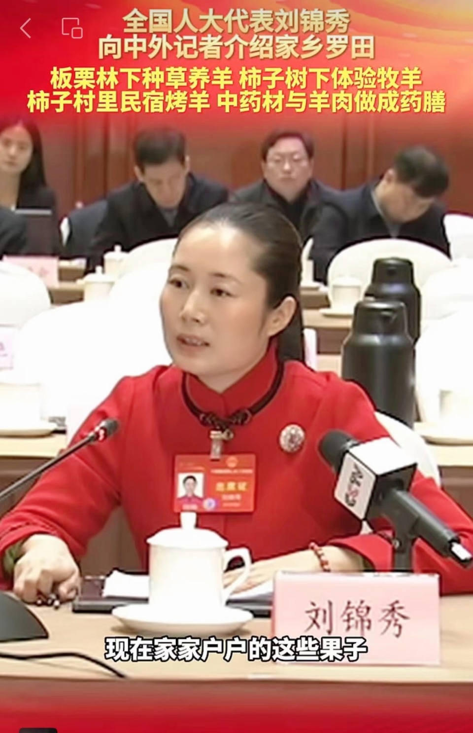 全国人大代表刘锦秀鼓励女性：想干都能闯出一片天地_腾讯新闻
