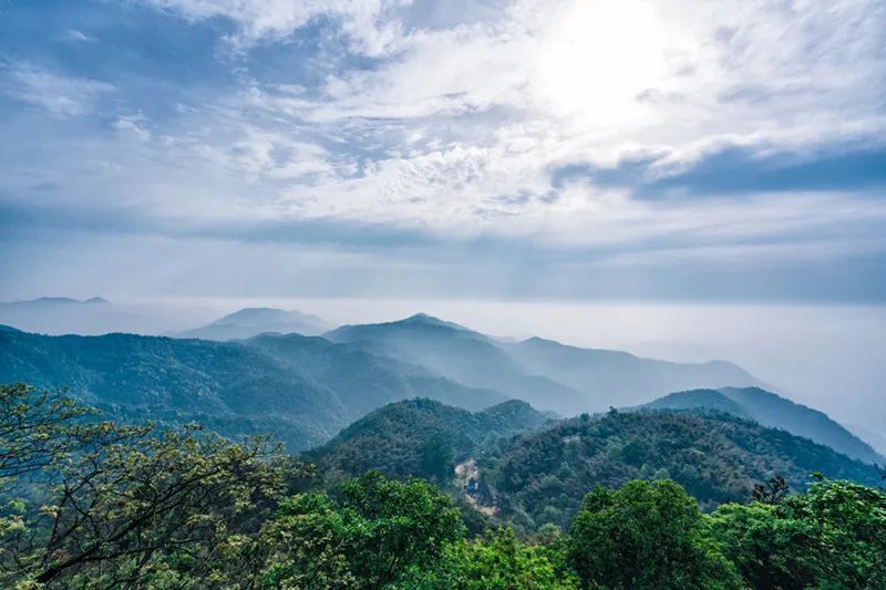 老年人养生进补误区多？避开这些科学方法你知道吗