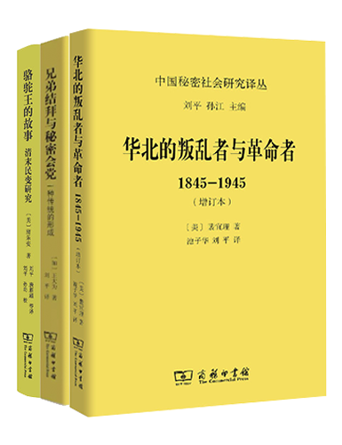 推荐书单丨中国秘密社会