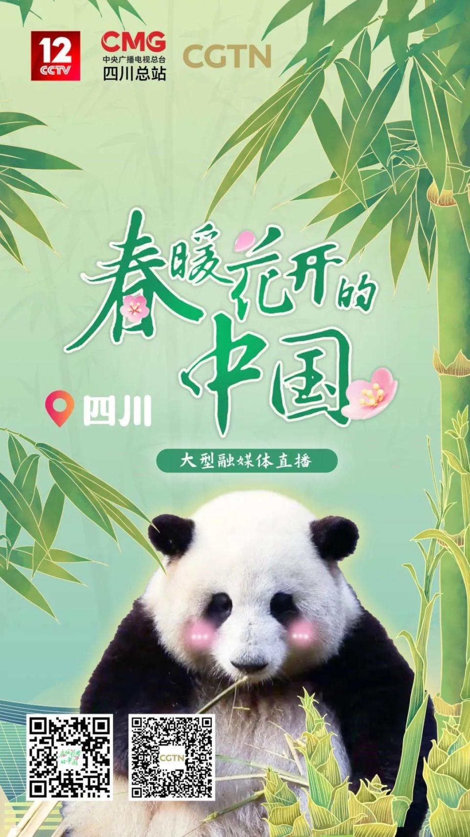 但最为国人乃至世界所知的,却是大熊猫.