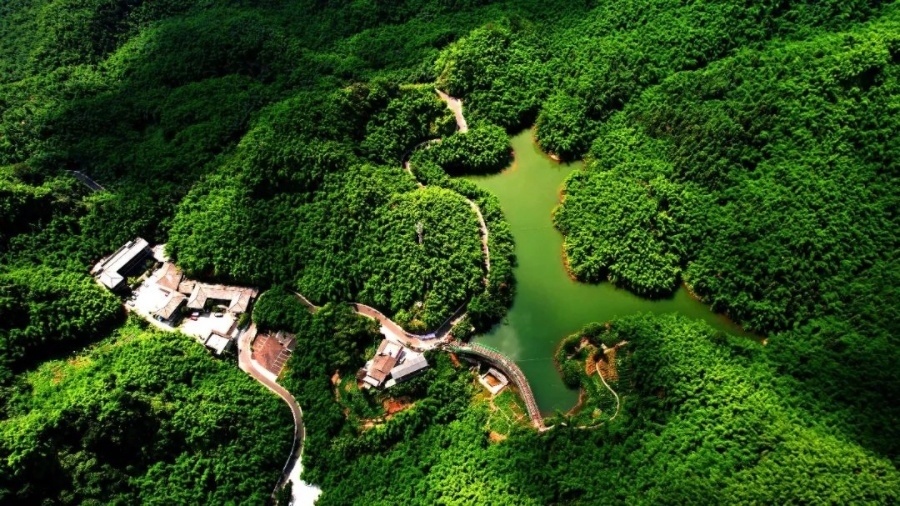 乐山新增一aaaa景区  沐川竹海"升级"