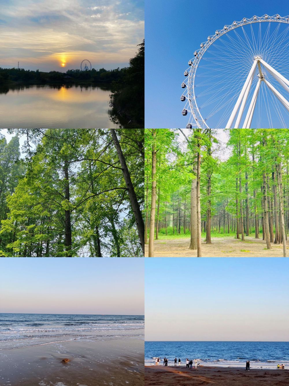 不去三亚就来日照游玩吧,亲爱的大学生们!_腾讯新闻