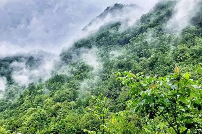 远离喧嚣,就来人间仙境黎坪!