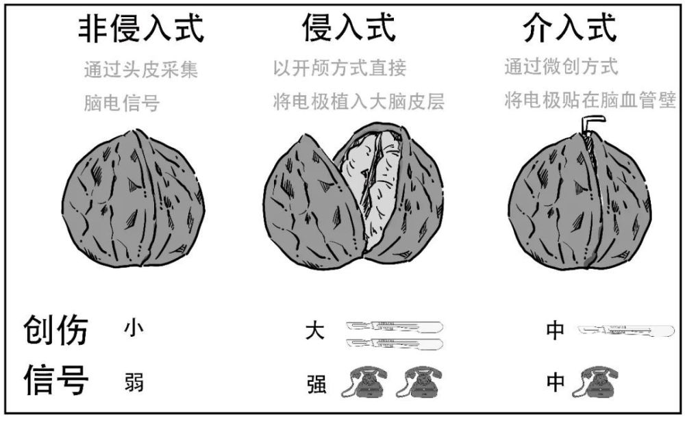 苹果在印度主力供应商宣布撤离：工人闹事等矛盾频发七年级语文上册课本内容2023已更新(哔哩哔哩/新华网)七年级语文上册课本内容