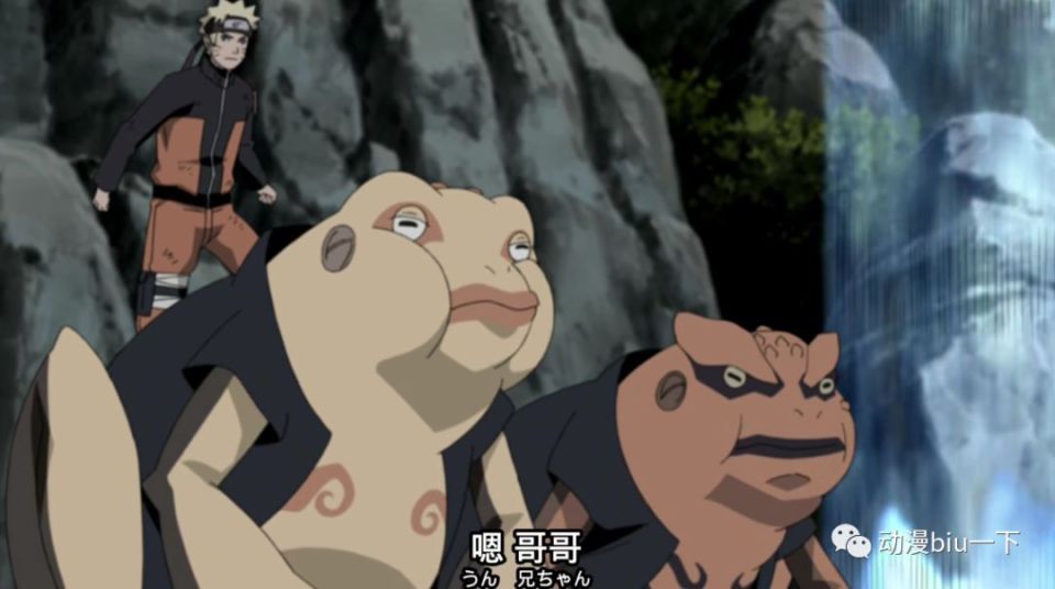 鸣人也通灵出了这两只蛤蟆,这个时候的蛤蟆吉和蛤蟆龙已经长大,个头也