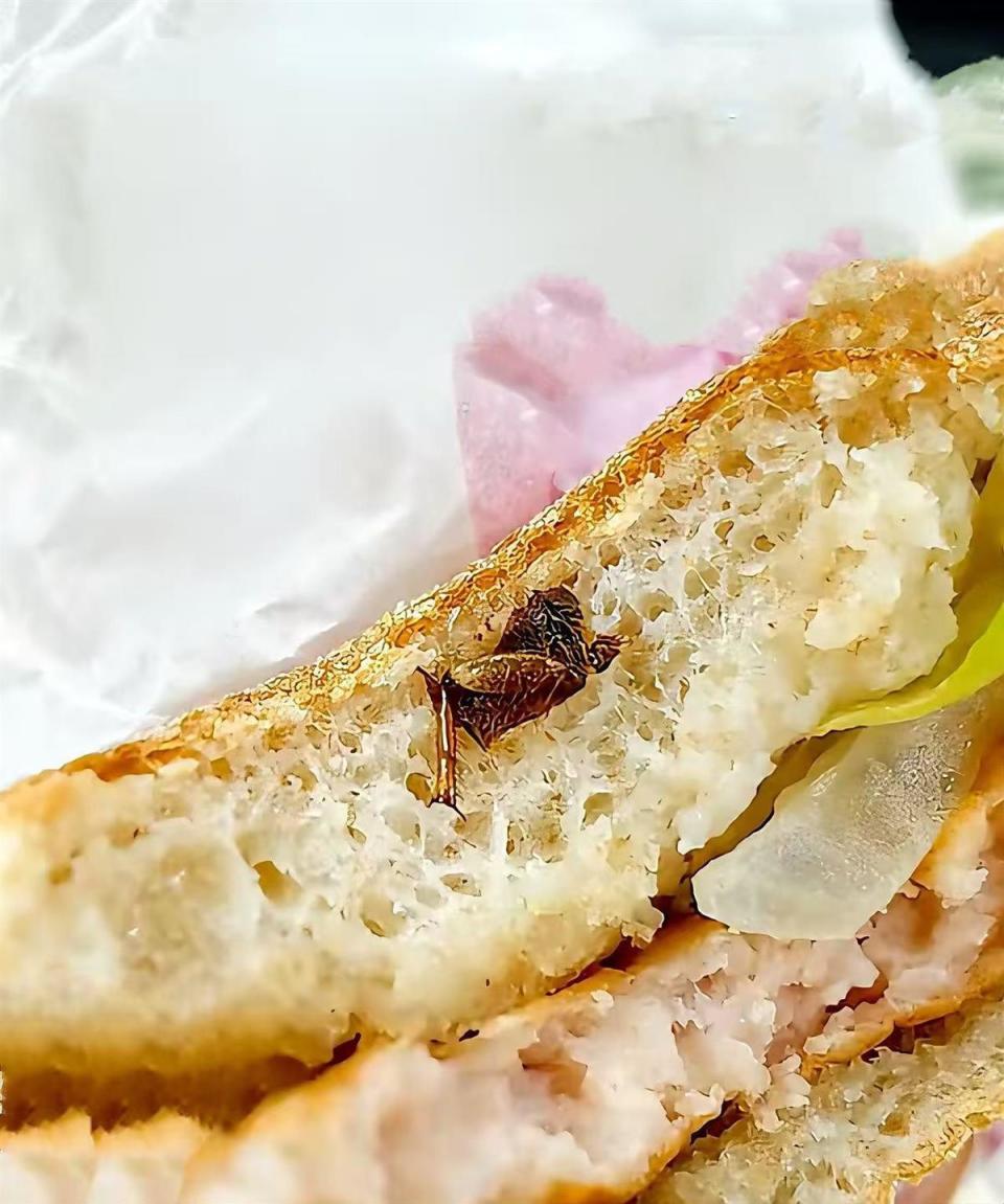 广州市民称在快餐中吃出半只蟑螂,店方:已成立专项小组处理