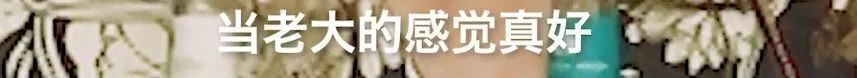 这个世界上有许许多多伟大的女演员,但只有梅姨做到了在这个男权横行