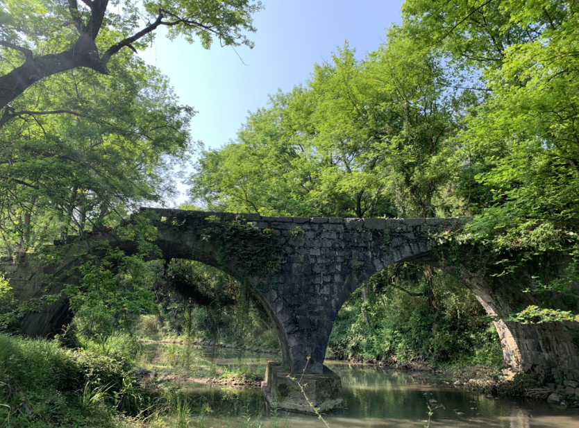 北湖,藏着这些"大宝贝" 你知道多少